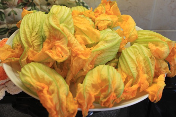 Vegetarian Cooking Classes in Italy Venice - Squash Blossoms
