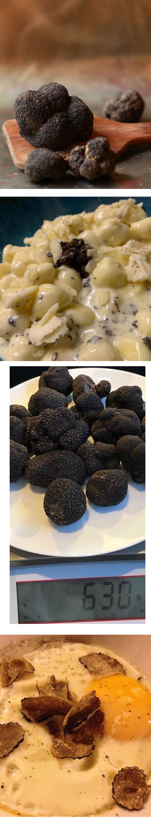 Truffle Cooking Class in Italy Venice